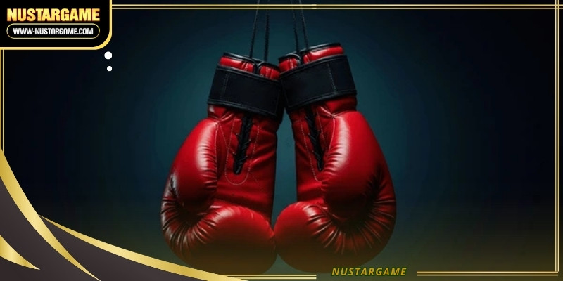 boxing-betting-online-ava