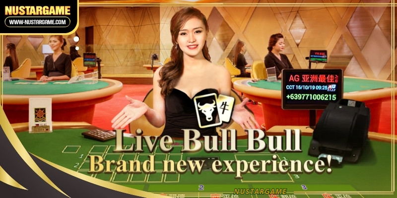 bull-bull-ava