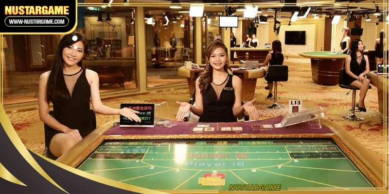 Professional dealers manage every round to ensure a transparent and highly
