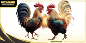 c2-cockfighting-ava