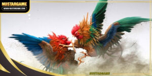 knife-edge-cockfighting-ava
