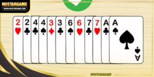 thirteen-cards-ava