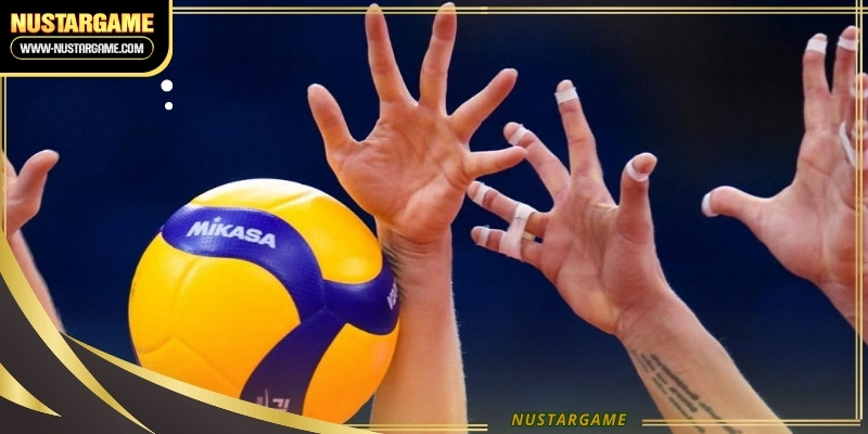 volleyball-betting-ava